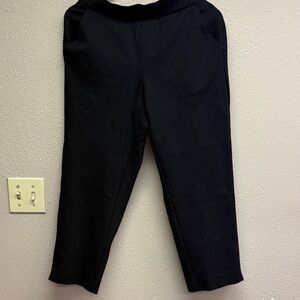 Torrid Black Ankle Pants